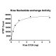 Kras G12A Nucleotide Exchange Assay Kit
